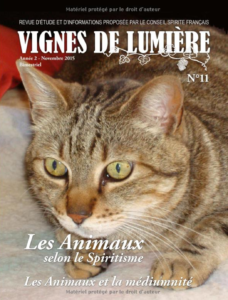 Couverture d’ouvrage : Vignes de lumière - 11