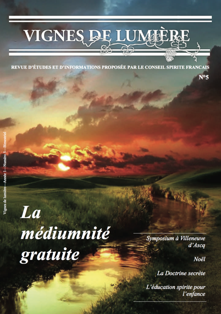 Couverture d’ouvrage : Vignes de Lumière - 5