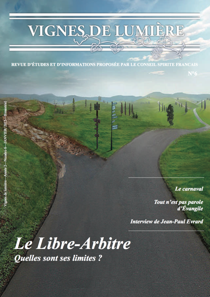 Couverture d’ouvrage : Vignes de Lumière - 6