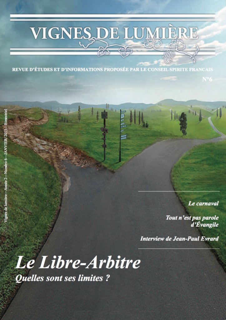 Couverture d’ouvrage : Vignes de Lumière - 6