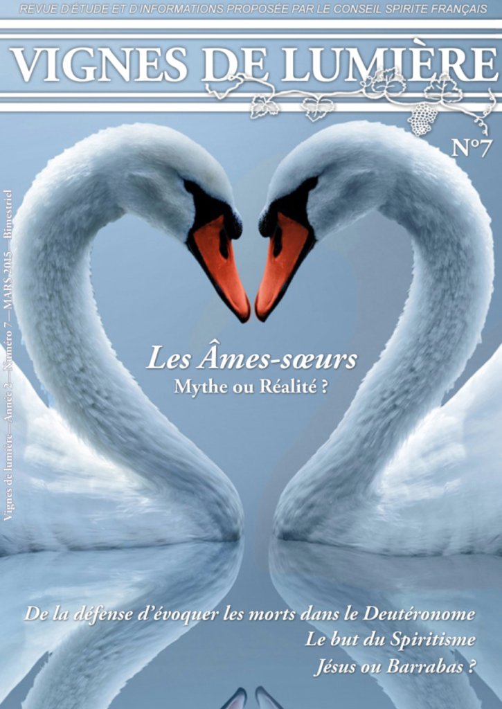 Couverture d’ouvrage : Vignes de Lumière - 7