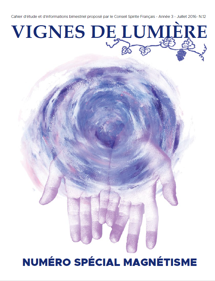 Couverture d’ouvrage : Vignes de Lumière - 12