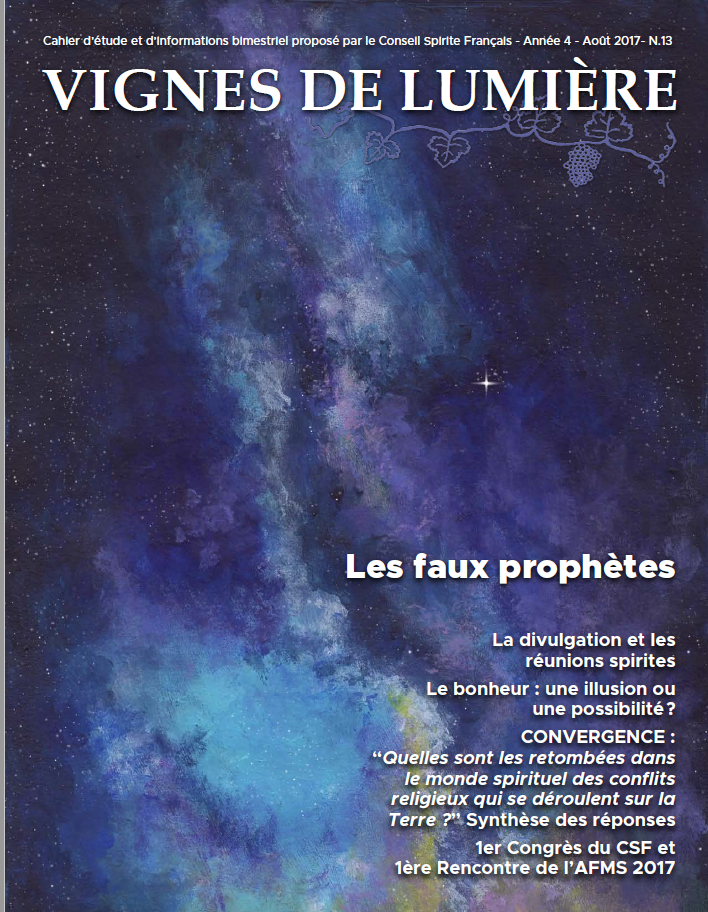 Couverture d’ouvrage : Vignes de Lumière - 13