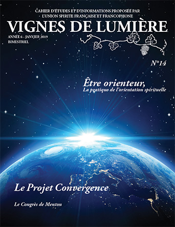 Couverture d’ouvrage : Vignes de Lumière - 14